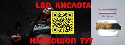 крисы Кандалакша