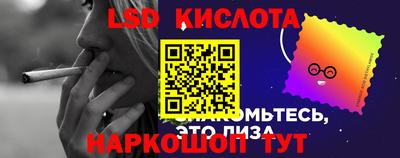 крисы Кандалакша