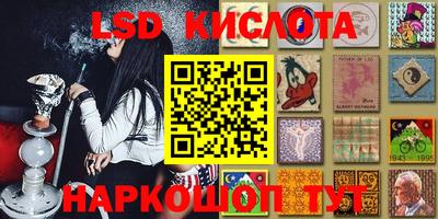 крисы Кандалакша